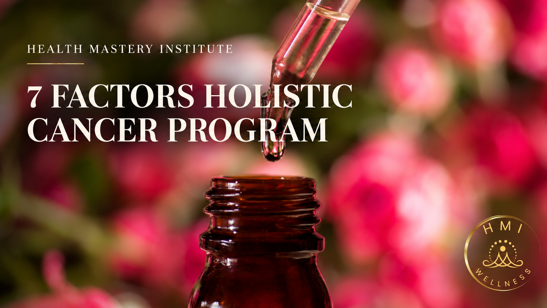 7 Factors Holistic Cancer Program — original HMI Wellness program cover